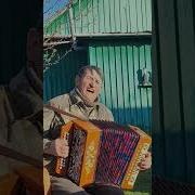 Ох Досада Ох Досада Частушка