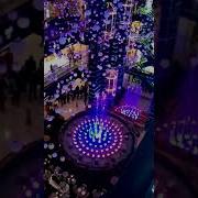 Танцующий Фонтан Тц Европейский