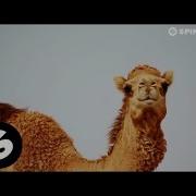 Kshmr Mandala Feat Mitika Extended Mix