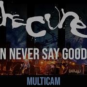 The Cure Novembre Live In France 2022 Full Vinyl Mp3 Download