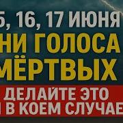 Страшные Фразы
