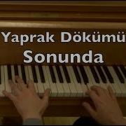 Yaprak Dökümü Sonunda Piyano Piano Toygar Işıklı Dizi Müziği