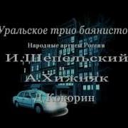 Персидский Марш Трио Баянистов
