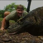 The Crocodile Hunter Steve And The Dragon