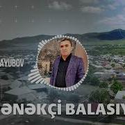 Etibar Ayubov Kepenekci Balasiyam