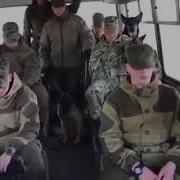 Кинологи Тает Лед Пограничники