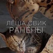 Леша Свик Ранены