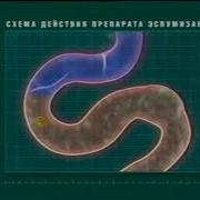Реклама Эспумизан 2003