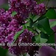 Друзья Мои Меня Не Покидайте Текст