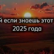 2023 Года Тренды