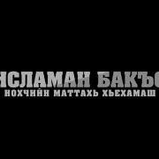 Дикачу Ден Дика К1Ант