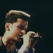 Depeche Mode Some Great Reward Tour 1984