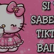 Si Sabes El Tiktok Baila 14 Remx