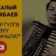 Жаны Хит Баскан Изин Башкалардан Кызганам