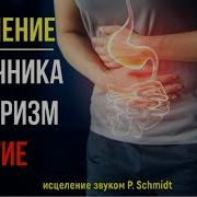 Звук Жесткого Метеоризма