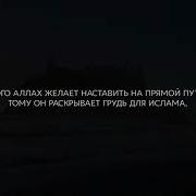Файсал Ар Рушуд Сура Аль Анам Скот 125 132 Красивое Чтение Корана