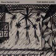 Rava Herbert Guidi Part Five Feat Enrico Rava Matthew Herbert