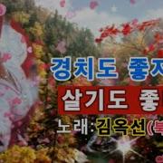 북한노래 조선의노래
