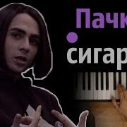 Lizer Пачка Сигарет Midi