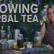 Garden Herbal Tea