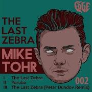 Mike Tohr The Last Zebra