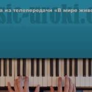 Музыка Из Телепередачи В Мире Животных Как Играть На Пианино