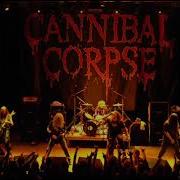 Cannibal Corpse Drums Only I Cum