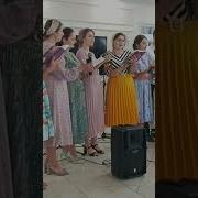 Всему Своё Время Под Солнцем