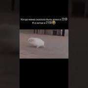 Иду С Гулянки Домой Дома Ждут Любимые Родители Буду Получать Звездюлей