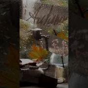 Когда Приходят Холода Когда Осенние Дожди
