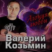 Наше Вашим Козьмин
