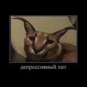 Песни Про Шлёпу