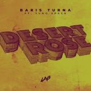 Baris Turna Feat Yuno Space Desert Rose