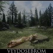 Skyrim Mods Veydosebrom Grasses And Groundcover