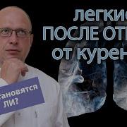 Курение И Митохондрии