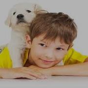 Аудирование Для Детей На Английском Языке Текст A New Puppy Listen To The Text A New Puppy