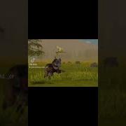Еще Одно Мое Видео С Тт Edit