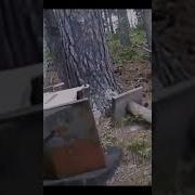 Ходят Тут Всякие А Потом У Меня Ложки Пропадают