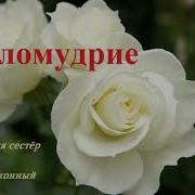 П И Унижонный Беседа Для Сестёр Целомудрие Мсц Ехб