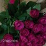 Onangni Holni Sorab Qoy Dostim