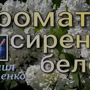 Михаил Устенко Песни