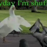 Everyday I M Shuffling Гусь Часовая Версия