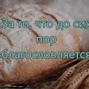 Мы В Этот День Торжественный И Праздничный На Жатву