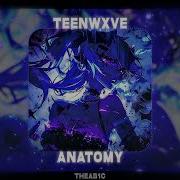 Anatomy Teenwxve