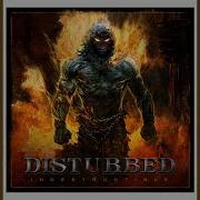 Disturbed Perfect Insanity Original