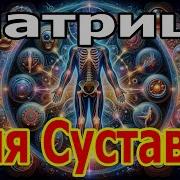 Самая Мощная Матрица Гаряева Для Всех Суставов Универсальная Tirtha Relax