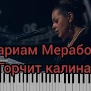 Мариам Мерабова Горчит Калина Минус