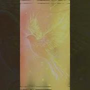 Фархутдинов Денис Ай Былбылым