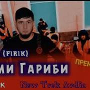 Доми Гариби Фирик