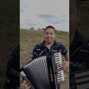 Музыка На Аккордеоне